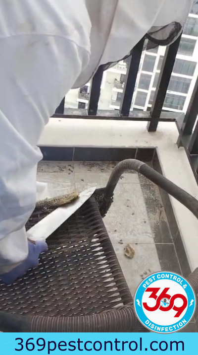 Bee Hives Removal Meadows, Bee Removal Meadows, Bee Control Meadows, Bee Pest Control Meadows, Bee Removal Near Me Meadows, Same Day Bee Removal Meadows, Emergency Bee Removal Meadows, Bee Hive Removal Service Meadows, Bee Removal Villa Meadows, Garden Bee Control Meadows, Bee Nest Removal Meadows, Bees In Garden Meadows, Safe Bee Hive Removal Meadows, Professional Bee Removal Meadows Dubai, Affordable Bee Removal Meadows, Bee Infestation Removal Meadows,