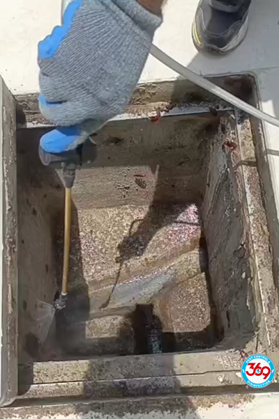 Cockroach Control, roach cockroach, german cockroach, spraying for cockroaches, american cockroaches, cockroach exterminator, cockroach pest control, roach pest control, advion cockroach, advion roach, best roach killers, cockroach treatment at home, flying cockroaches, oriental cockroach, cockroaches in house, roach insecticide, cockroach insecticide, cockroaches in home, cockroach control, german roach, cockroach control JLT, cockroach pest control JLT, pest control JLT, cockroach exterminator JLT, cockroach treatment JLT, apartment cockroach control JLT, restaurant pest control JLT, kitchen cockroach control JLT, office pest control JLT, home cockroach treatment JLT, cockroach gel treatment JLT, cockroach spraying JLT, german cockroach treatment JLT, pest control services JLT, anti cockroach treatment JLT,